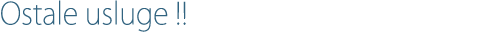 Ostale usluge